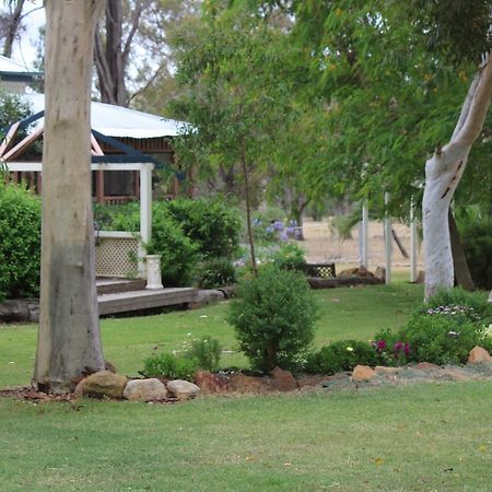 Rosebank Homestead And Farmstay 多尔比 外观 照片