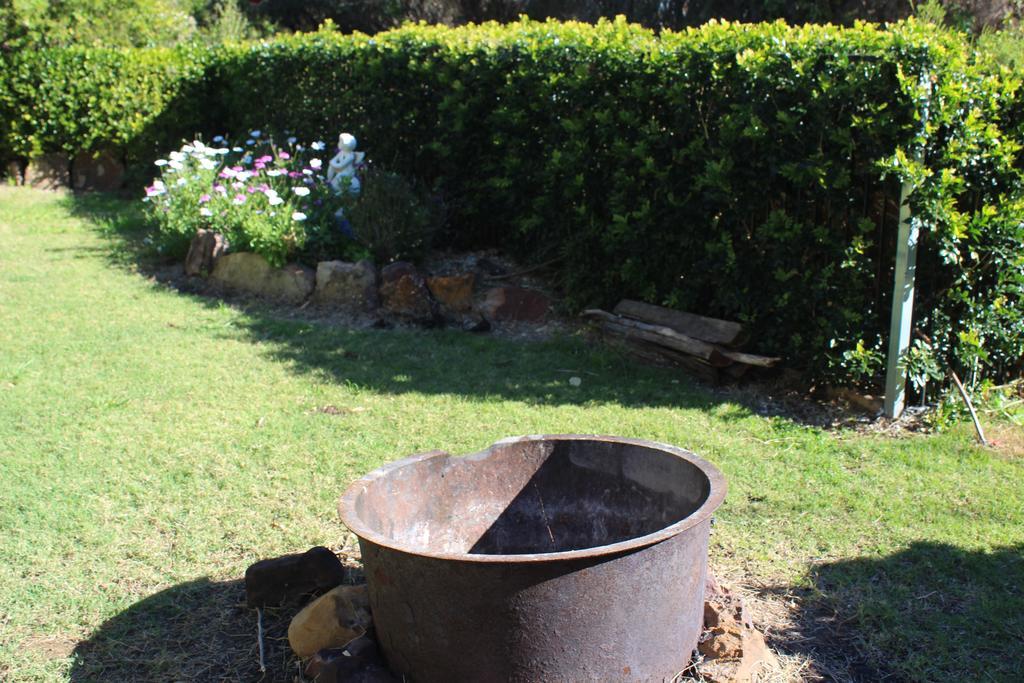 Rosebank Homestead And Farmstay 多尔比 外观 照片