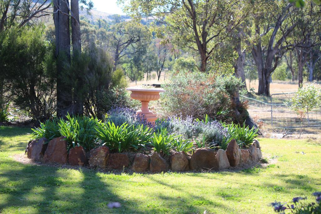 Rosebank Homestead And Farmstay 多尔比 外观 照片
