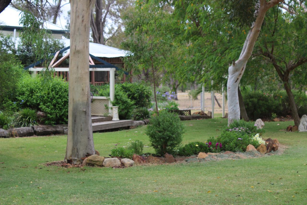 Rosebank Homestead And Farmstay 多尔比 外观 照片